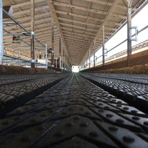 rubber-flooring-farm