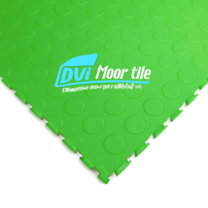 Tough Interlocking tiles with interlocking edges and coin pattern